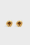 Vortex Earrings - booneealus