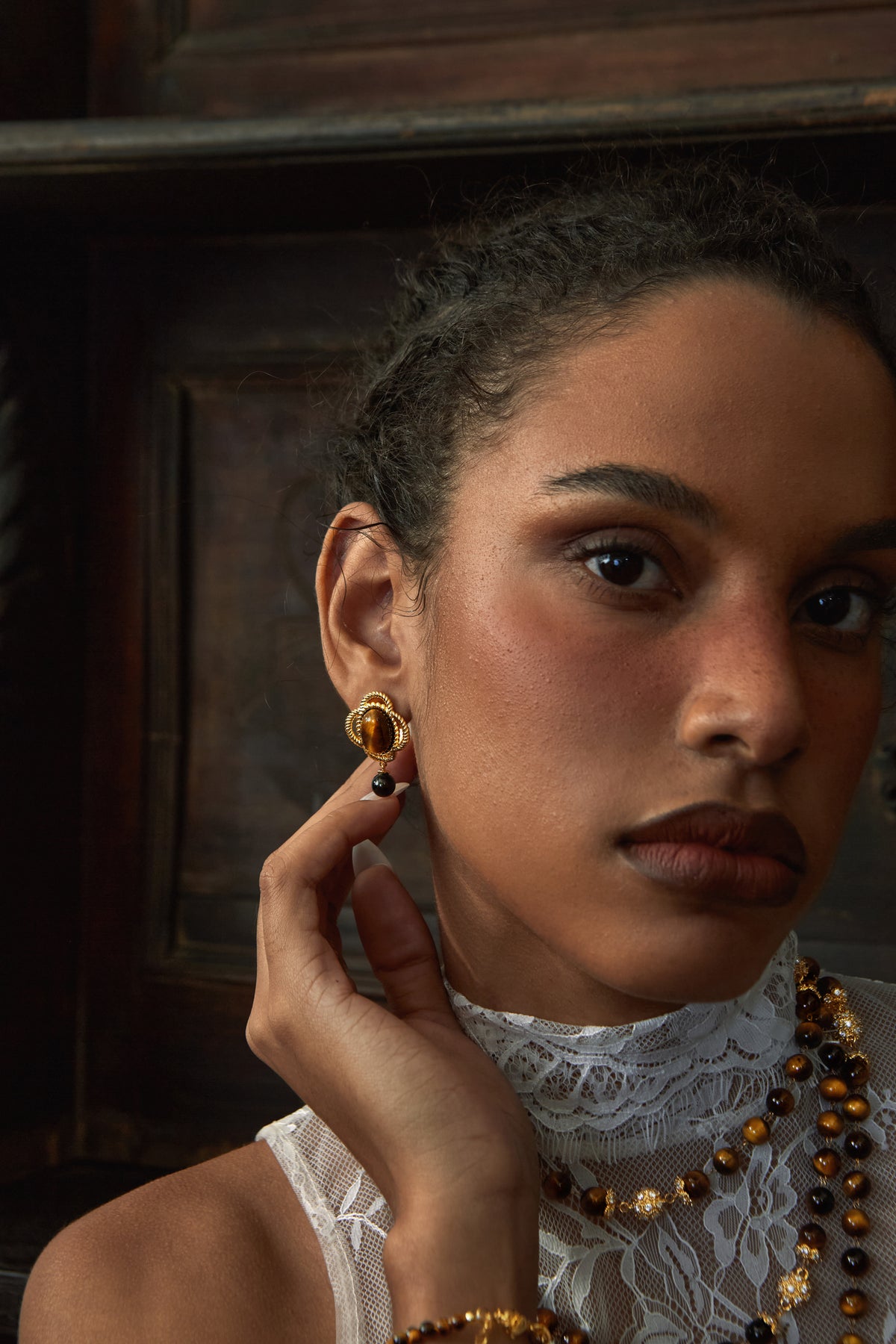 Amber Astrolabe Earrings - booneealus