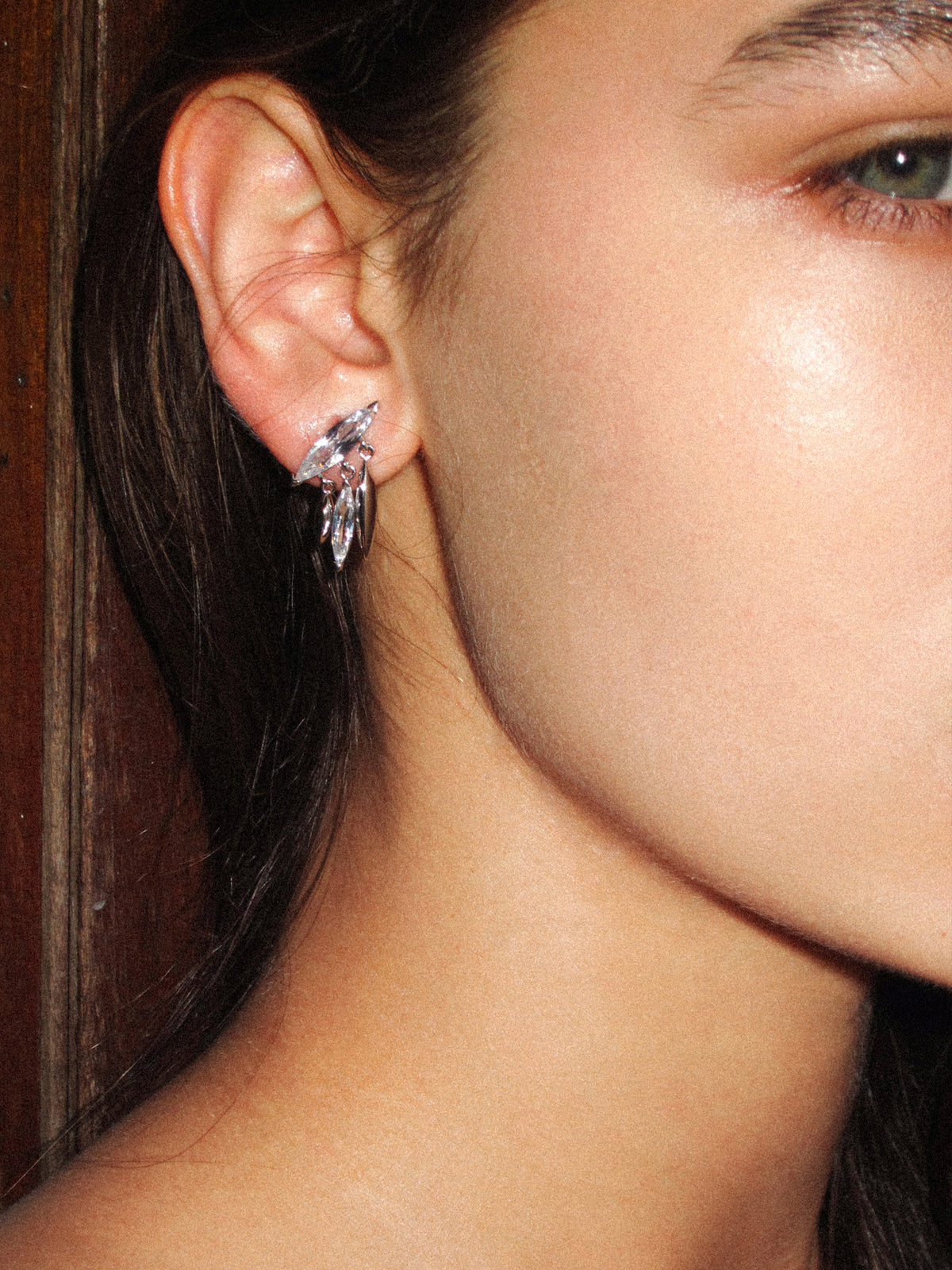 Horse Eye Zirconia Tassel Earrings - booneealus