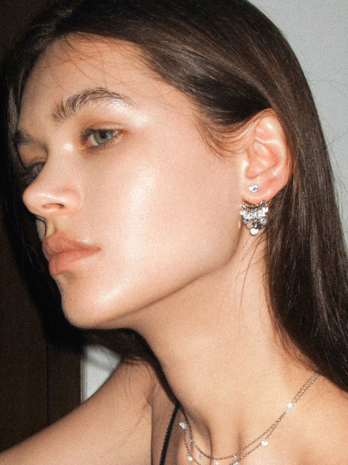 Multi-metal Disc Zircon Tassel Earrings - booneealus