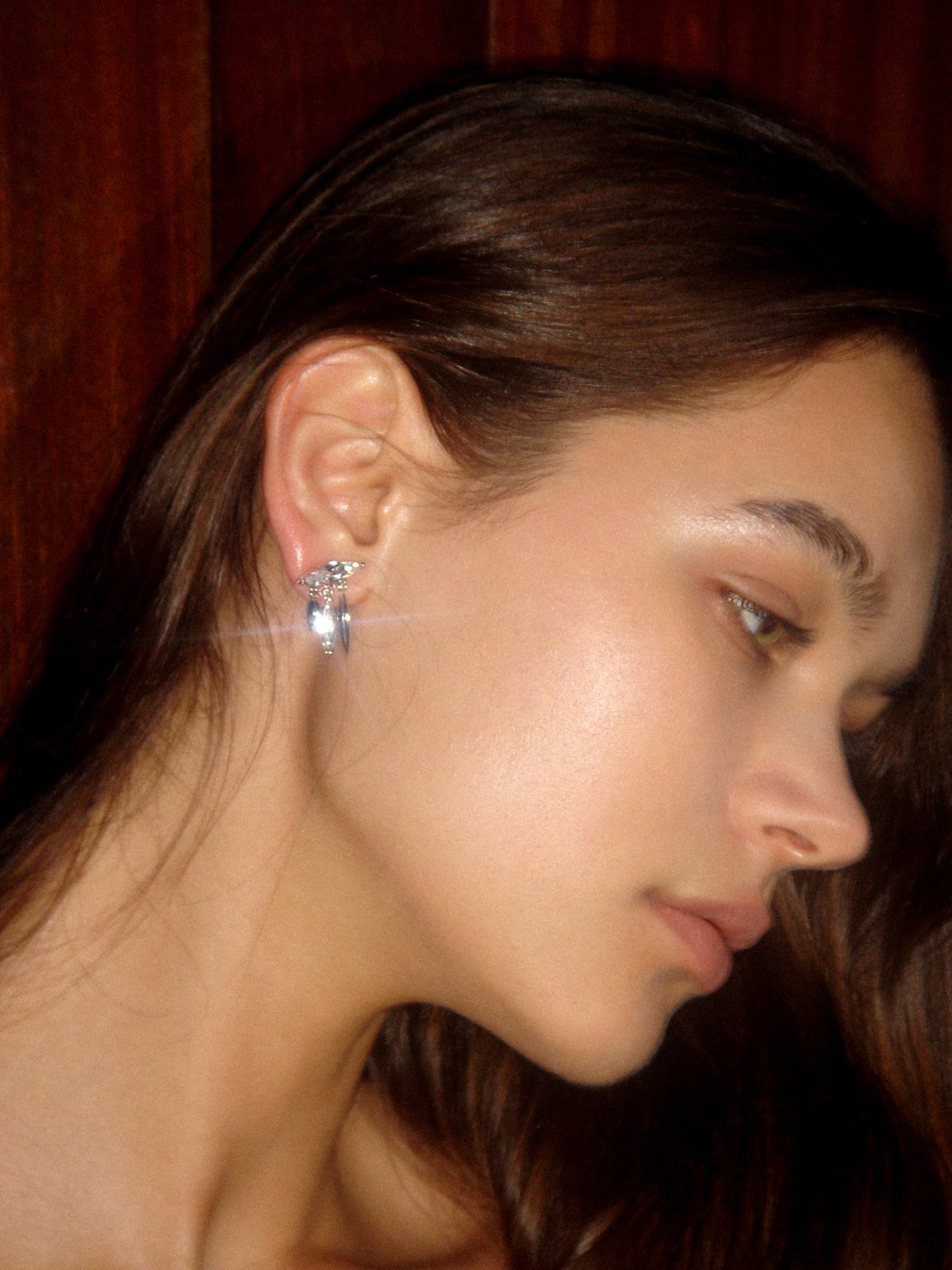 Horse Eye Zirconia Tassel Earrings - booneealus