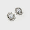 Braided Button-Shaped Zirconia Earrings - booneealus