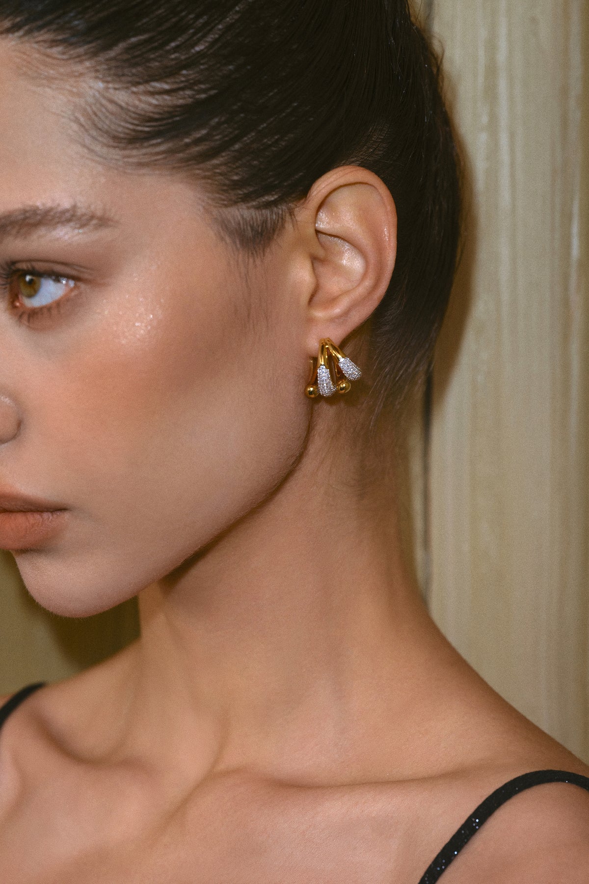 Celestial Duet Hoops Earrings - booneealus